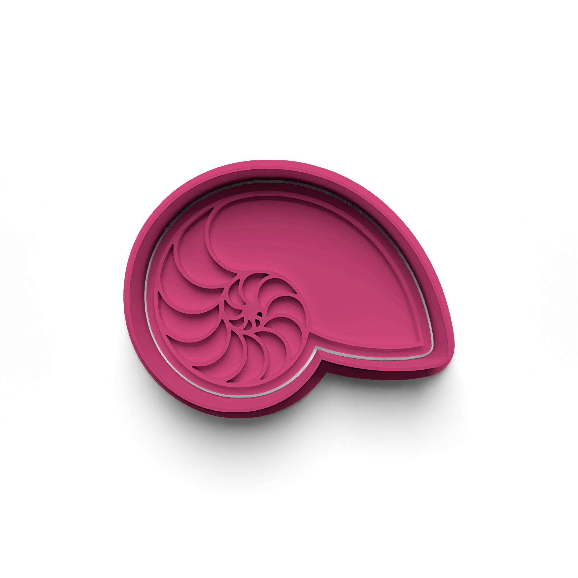 Seashell Cookie Cutter Stamp and Cutter Set (0243_4)