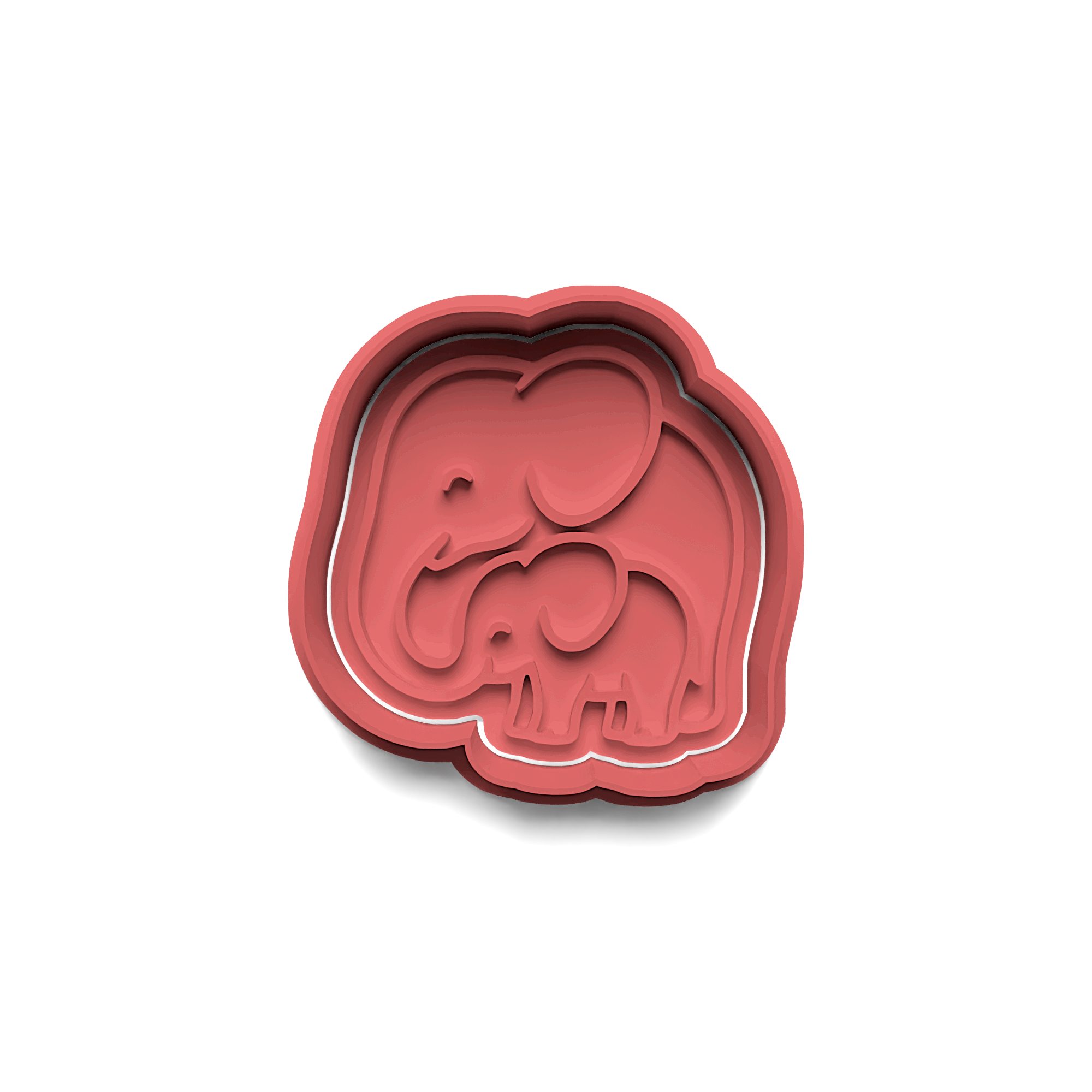 Starfish Cookie Cutter Stamp and Cutter Set (0246_4)
