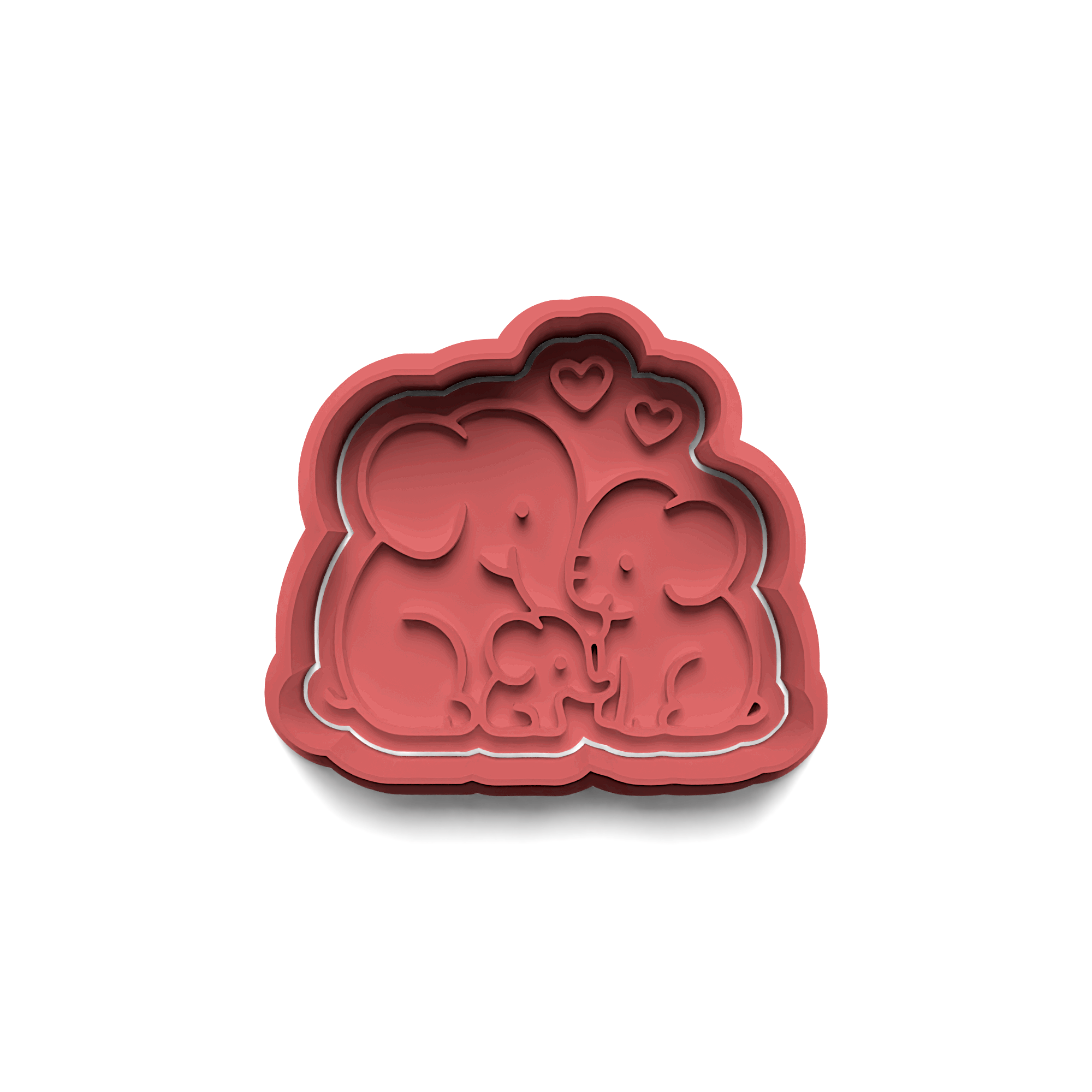 Starfish Cookie Cutter Stamp and Cutter Set (0246_4)