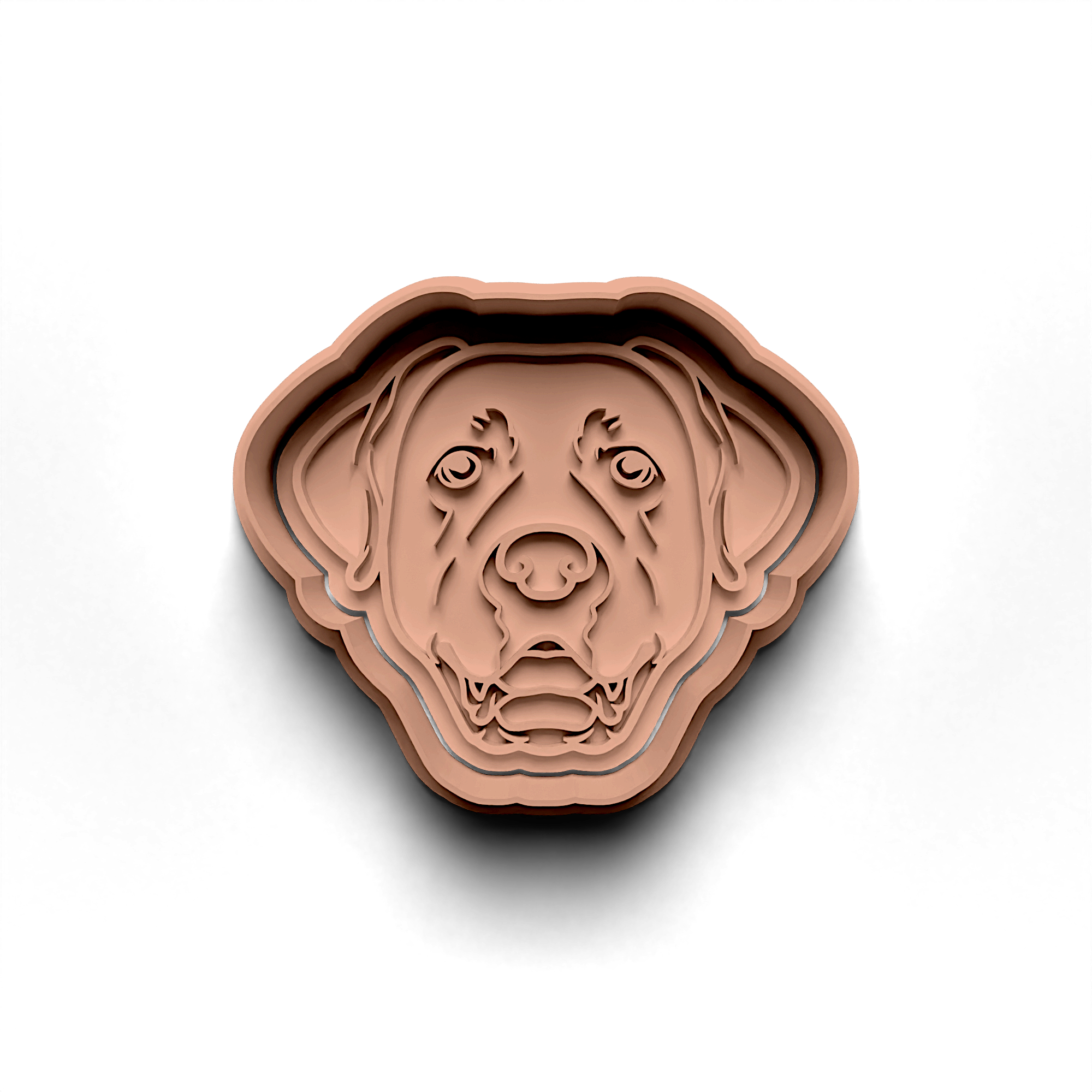 Labrador Cookie Cutter Stamp and Cutter Set